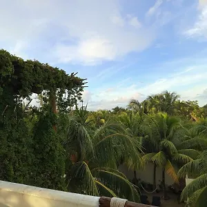 casa-aloha-isla-holbox.quintano-roohotels.com/